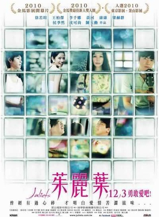 徐若瑄(vivian（徐若瑄的英文名）)