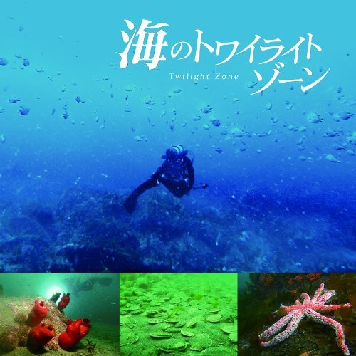 曙光之地大海 曙光之地大海