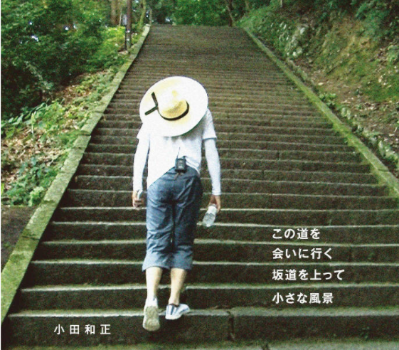 黑色止血钳