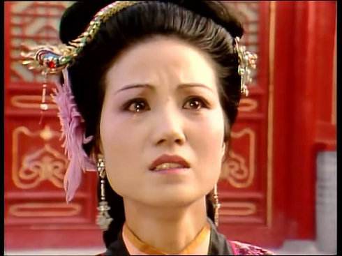 赵姨娘 赵姨娘