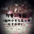 旋风少女之真正的天才少女