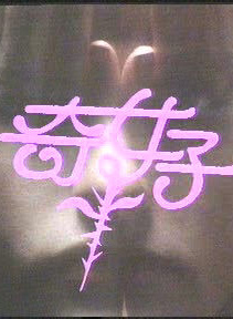 魏秋桦