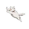 警犬侠