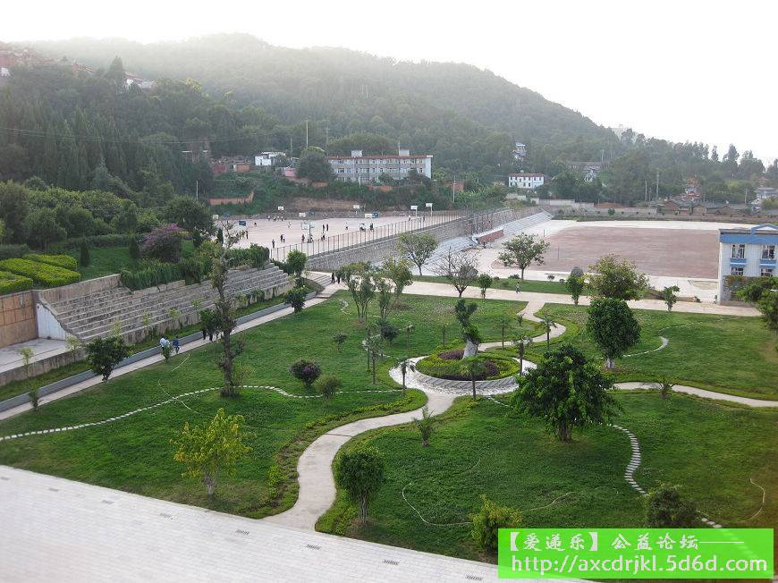 校园草坪 校园草坪