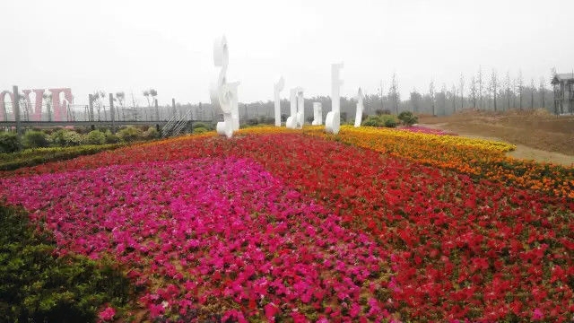 旅游产业