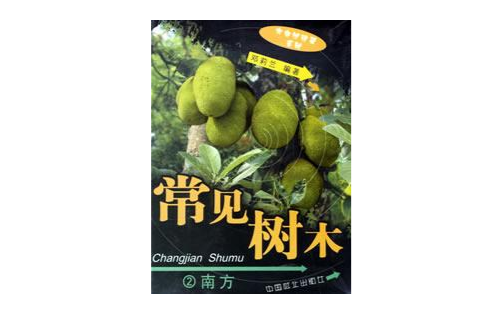 常见树木-2南方
