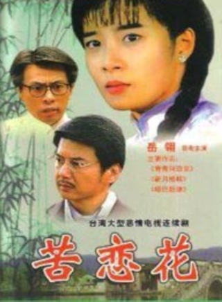 杨洁玫