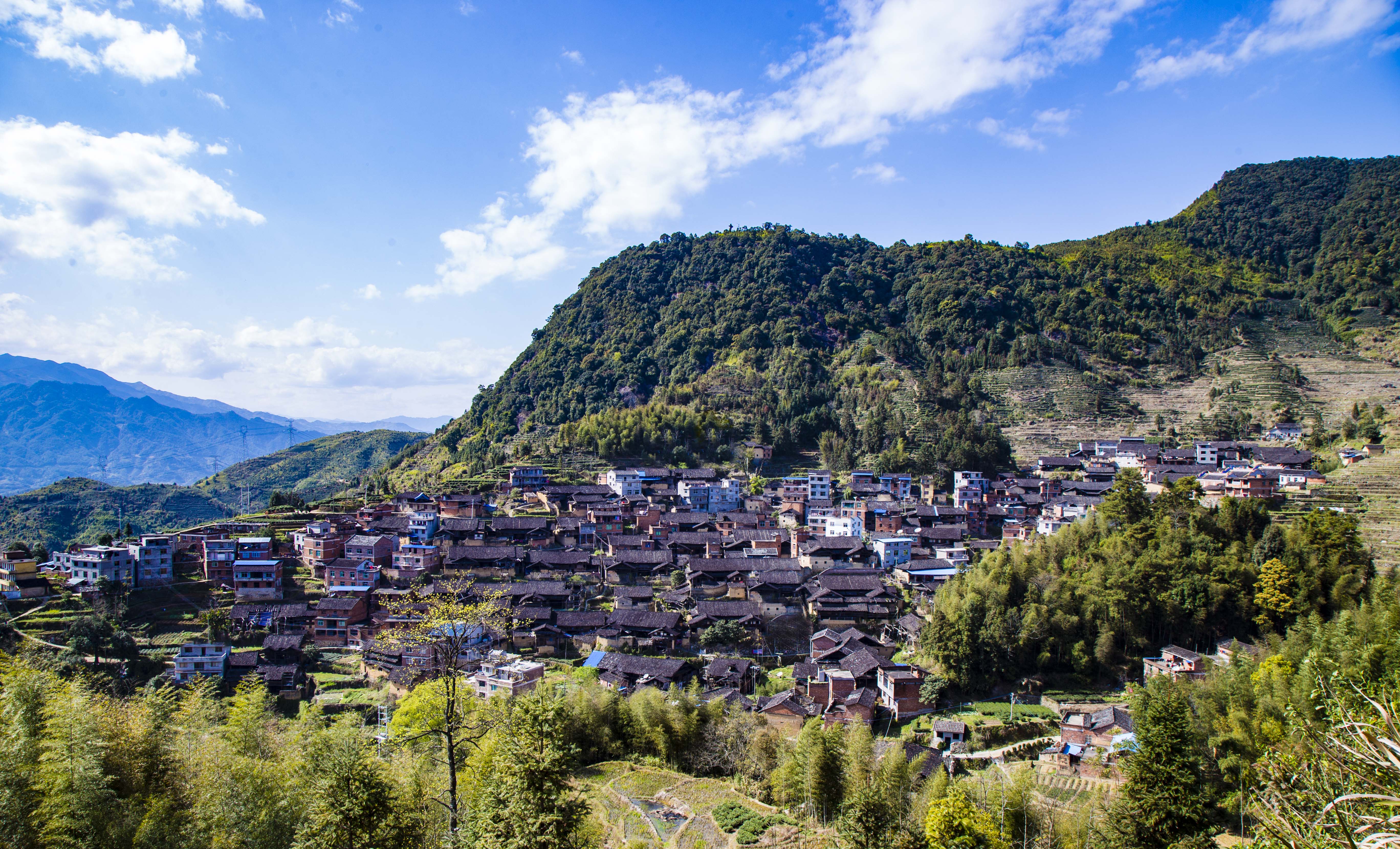 梅洋村(福建省宁德市寿宁县武曲镇梅洋村)