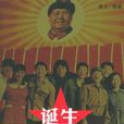一部电影的诞生(姜文所着的报告文学)