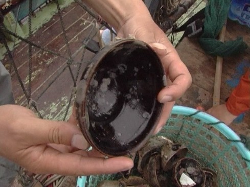 打捞出来的黑釉碗 打捞出来的黑釉碗