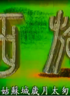 冯宝宝(演员)