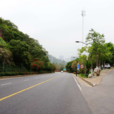 厦门怪坡
