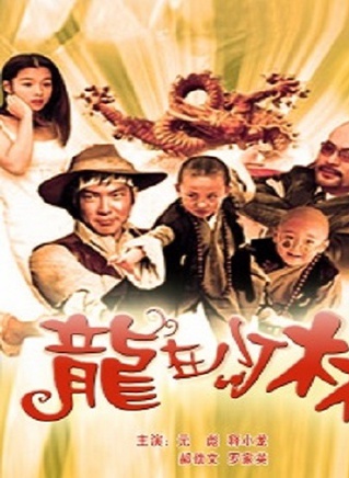 徐若瑄(vivian（徐若瑄的英文名）)