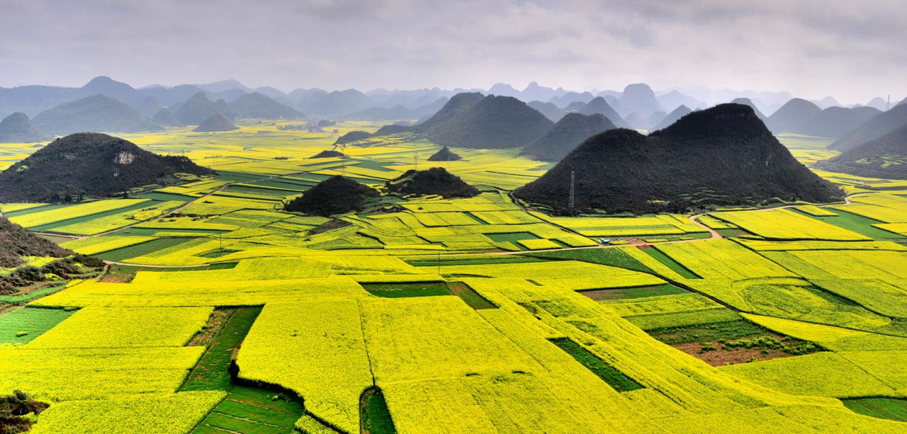 万峰林万亩油菜花