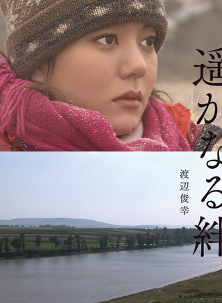 吉田纪子