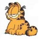 现在的加菲猫 现在的加菲猫