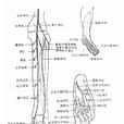 神经损伤