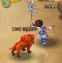 两栖鱼人套装 两栖鱼人套装