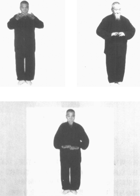 预备势:两掌提按 预备势:两掌提按