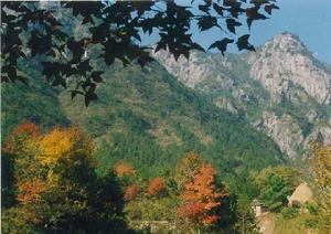 司空山 司空山