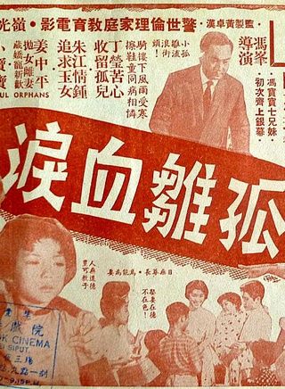 冯宝宝(演员)