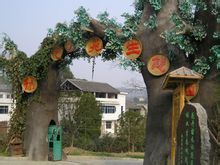 张家界绿色大地 张家界绿色大地