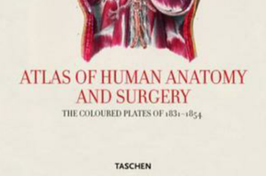 ATLAS OF ANATOMY 解剖图谱
