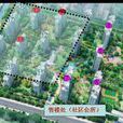 第五元素二期