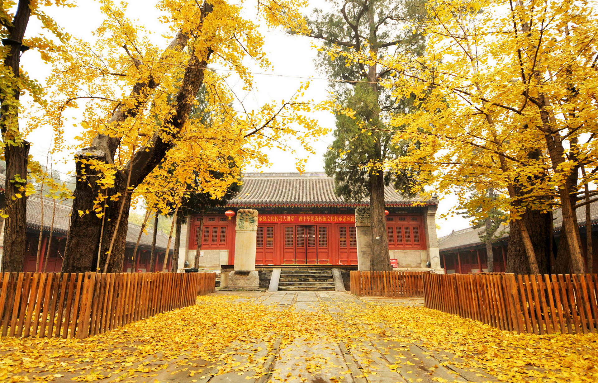 大雄宝殿 大雄宝殿