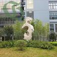 宁波财经学院杭州湾校区(宁波大红鹰学院杭州湾校区)