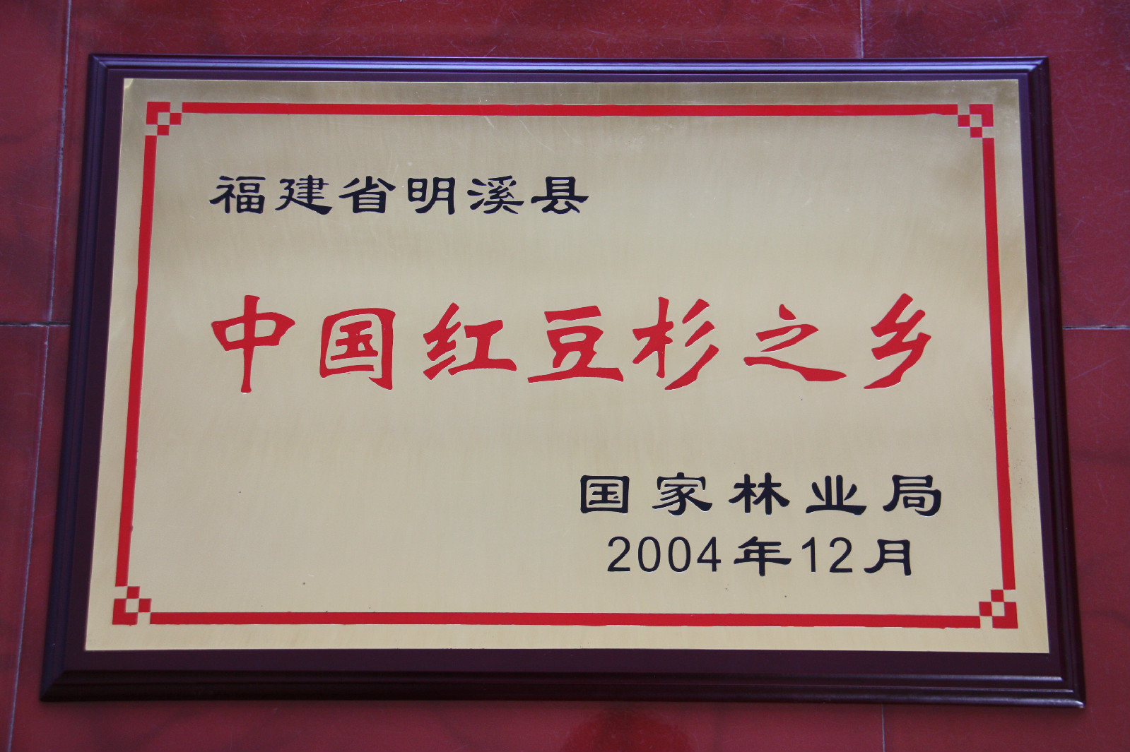 中国红豆杉之乡