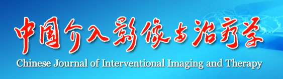 中国介入影像与治疗学 中国介入影像与治疗学