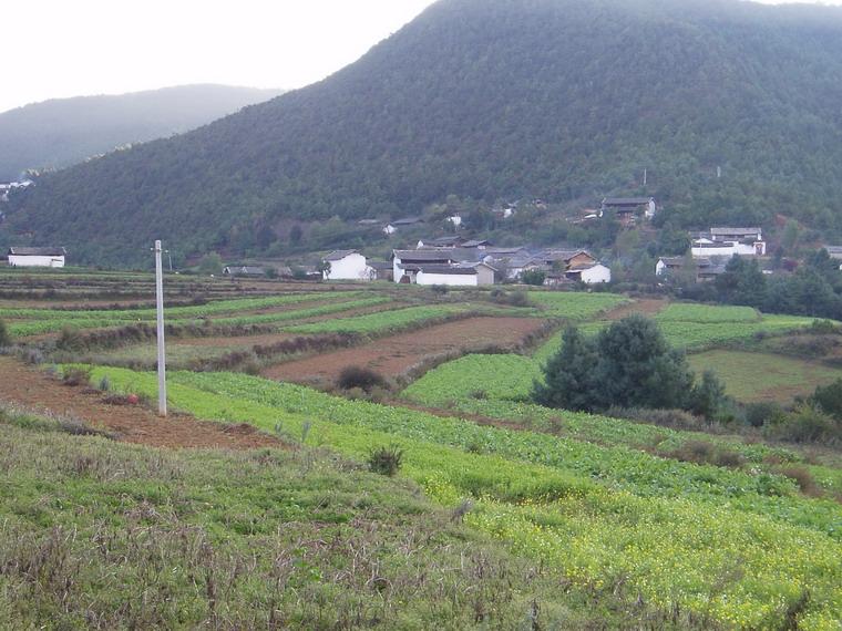 庆华村 庆华村