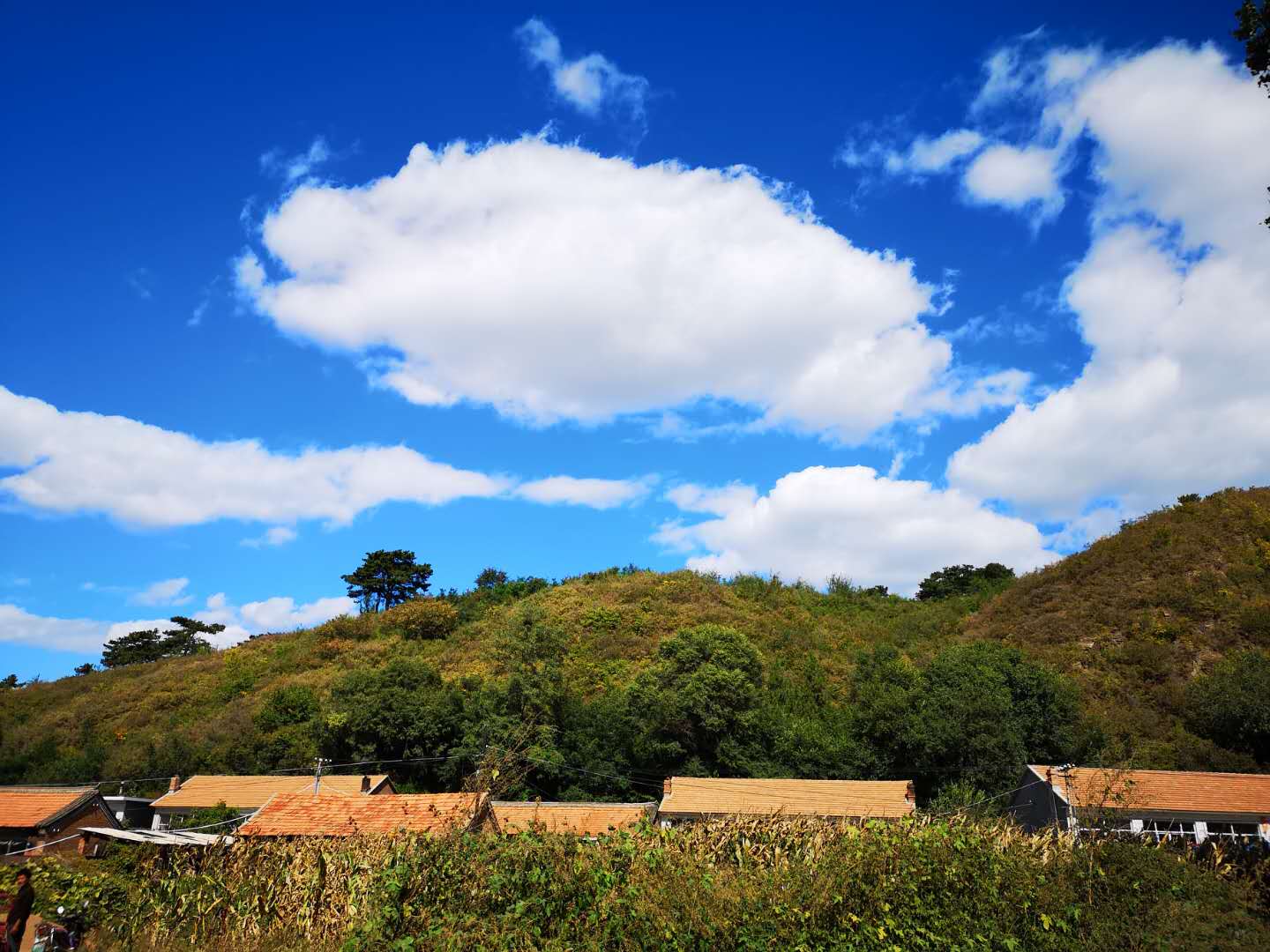 大山咀