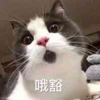 喔豁 喔豁