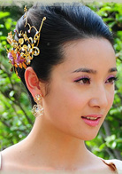 帝锦(2011年安七炫主演电视剧)