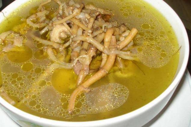 鱼腥草绿豆汤