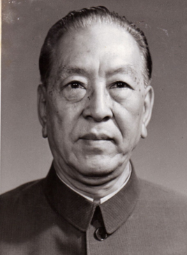 枫林镇 枫林镇