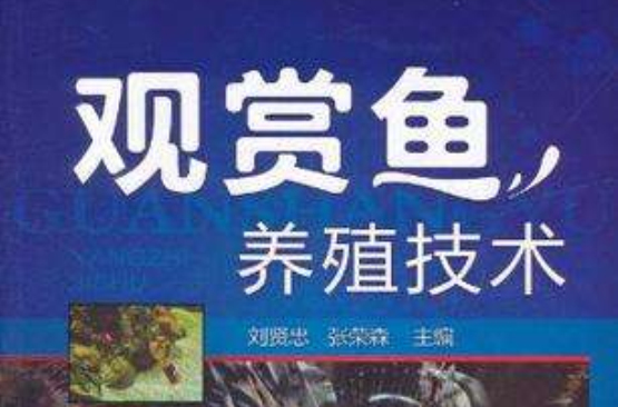 观赏鱼养殖技术