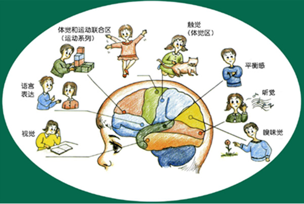 亲子教育 亲子教育