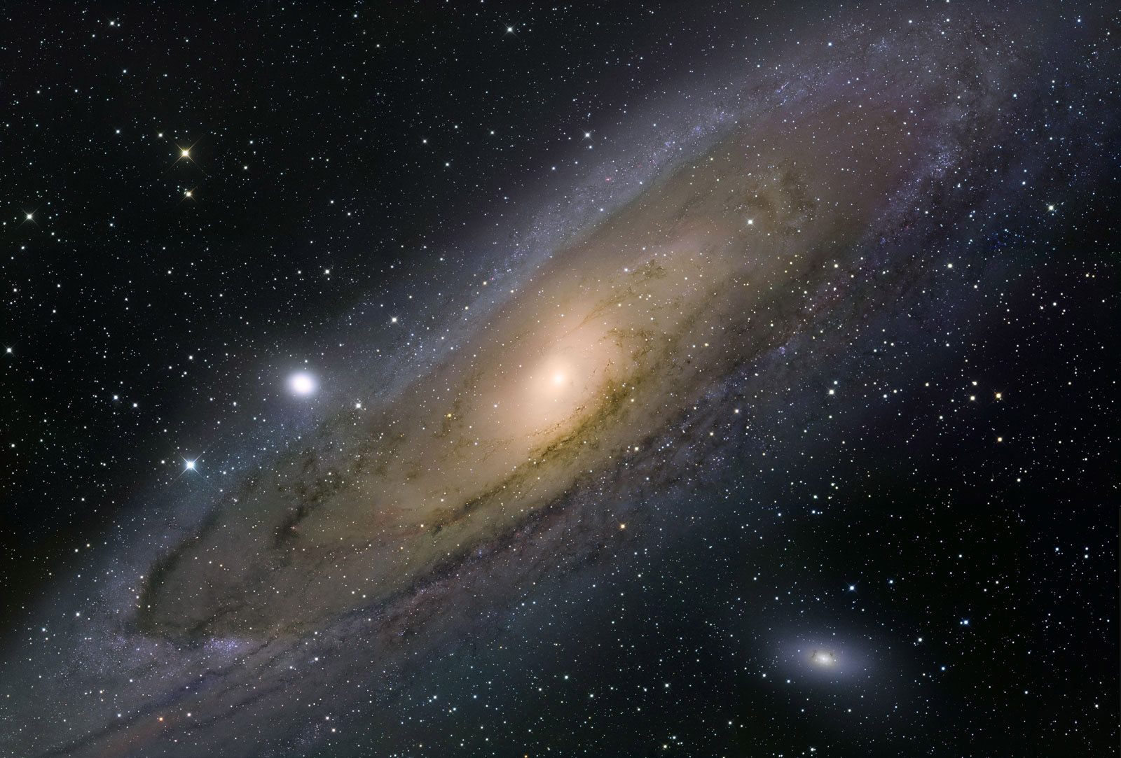 黑洞星体