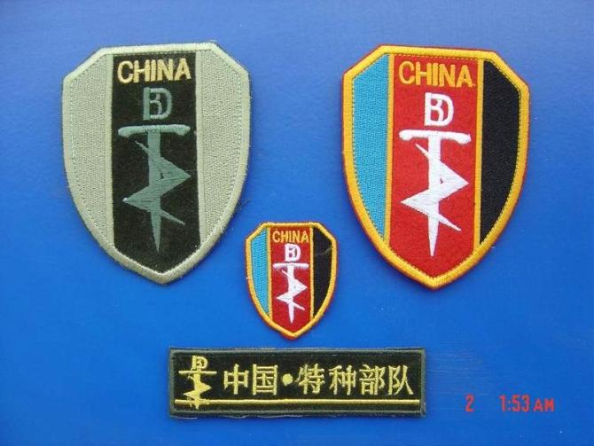 中国陆军特种部队 中国陆军特种部队