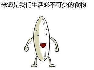 节约不浪费粮食的句子50句