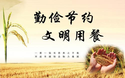 四个节约食物的优点