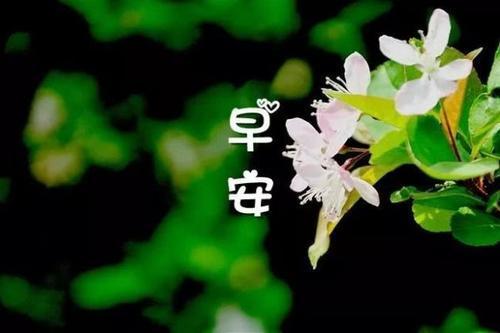 给客户发的温馨短信60句