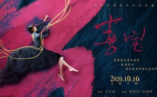 《喜宝》观后感精选3篇