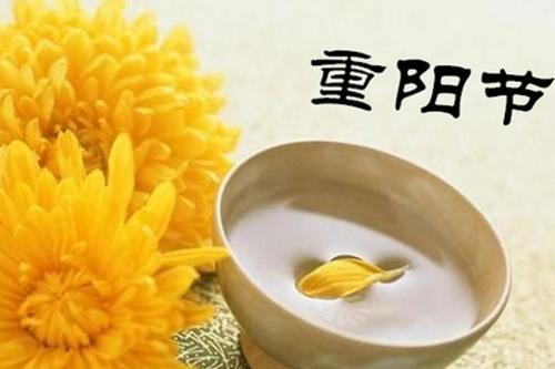 重阳节诗句精选40句