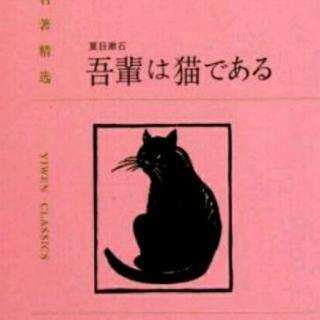 《我是猫》夏目漱石读后感300字精选三篇