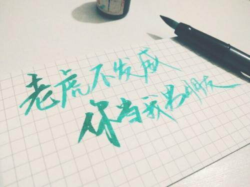 很文艺但不矫情的情话大全