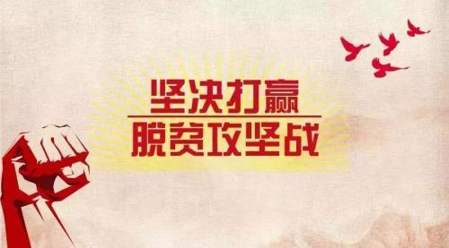 2020全国脱贫攻坚奖表彰大会观后感心得摘抄